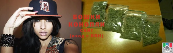 гашик Инсар
