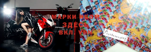 гашик Инсар