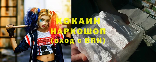 гашик Инсар