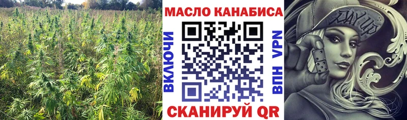 ТГК жижа  Купить закладки  Изобильный 