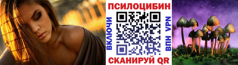 Псилоцибиновые грибы GOLDEN TEACHER  Купить закладки  Изобильный 
